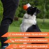 Dog Fetch Toy Outdoor Barbell Dog Toy for Small Medium and Large Breed Dogs Floating Dog Toy Orange