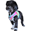 American River Choke Free Dog Harness