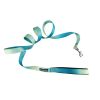 American River Ombre Leash