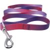 American River Ombre Leash