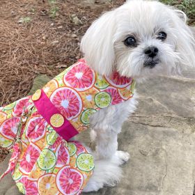 Citrus Slice Harness Dress with Matching Leash (size: X-Small)