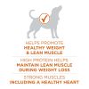 Purina ONE Plus Healthy Weight Dog Food Dry Formula