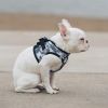 American River Choke Free Dog Harness