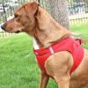 American River Choke Free Dog Harness