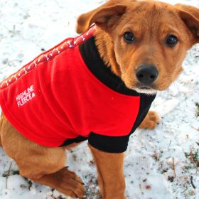 Highline Fleece Coat-Red and Black With Rolling Bones (size: Size 14)