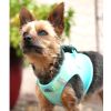 American River Choke Free Dog Harness