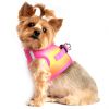 American River Choke Free Dog Harness