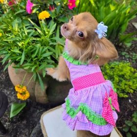 Watermelon Dog Dress. (size: medium)